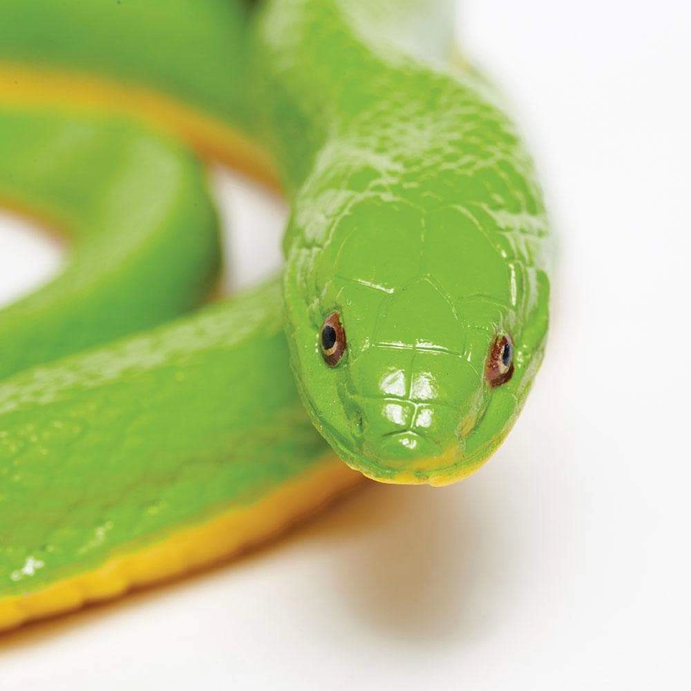 Safari Ltd. - Rough Green Snake Kids Toy Figure