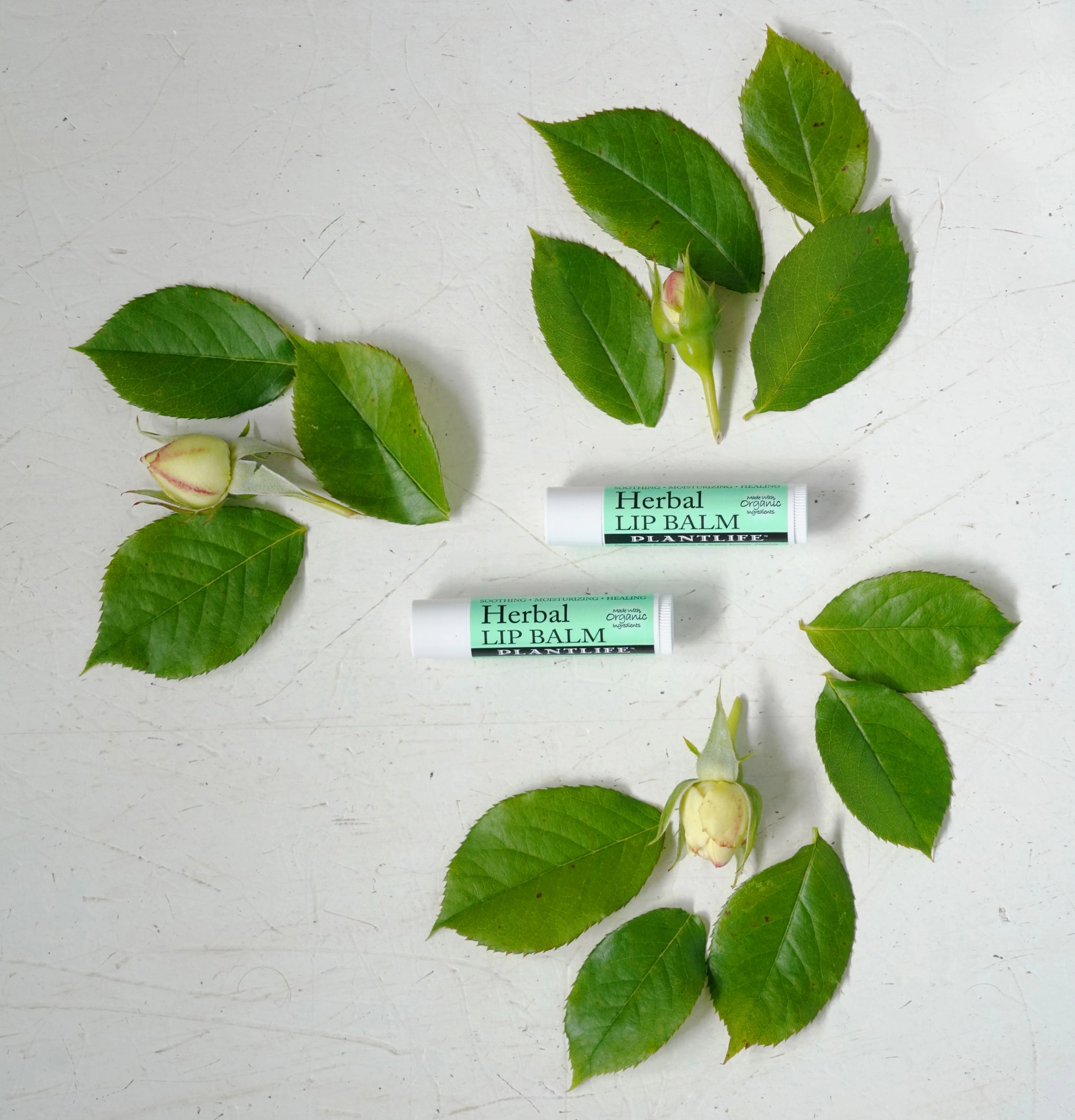 Plantlife Herbal Lip Balm