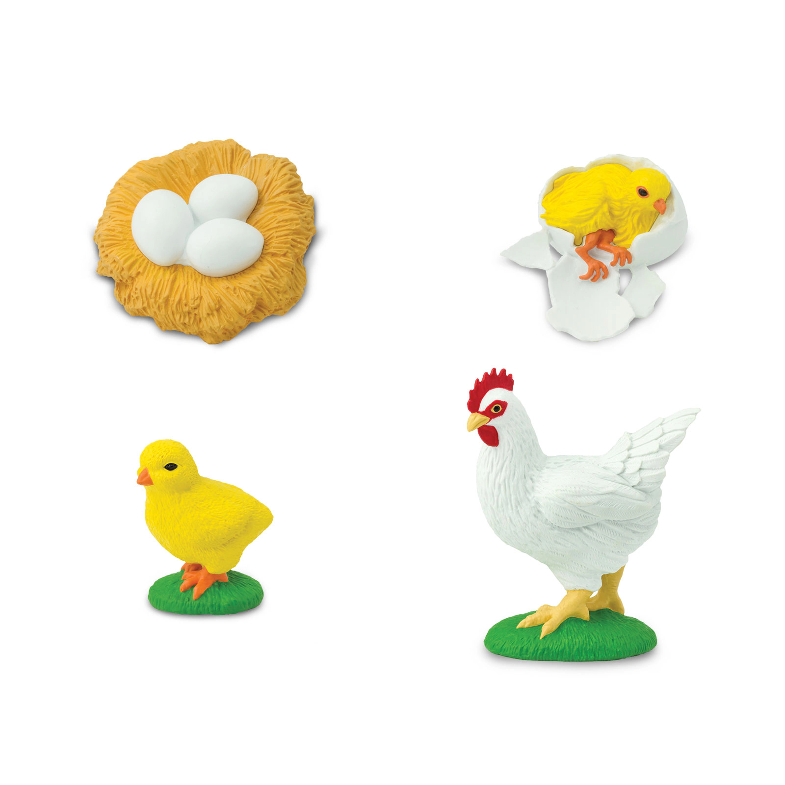 Safari Ltd. - Life Cycle of a Chicken - Miniature Lifecycle Collection Toy
