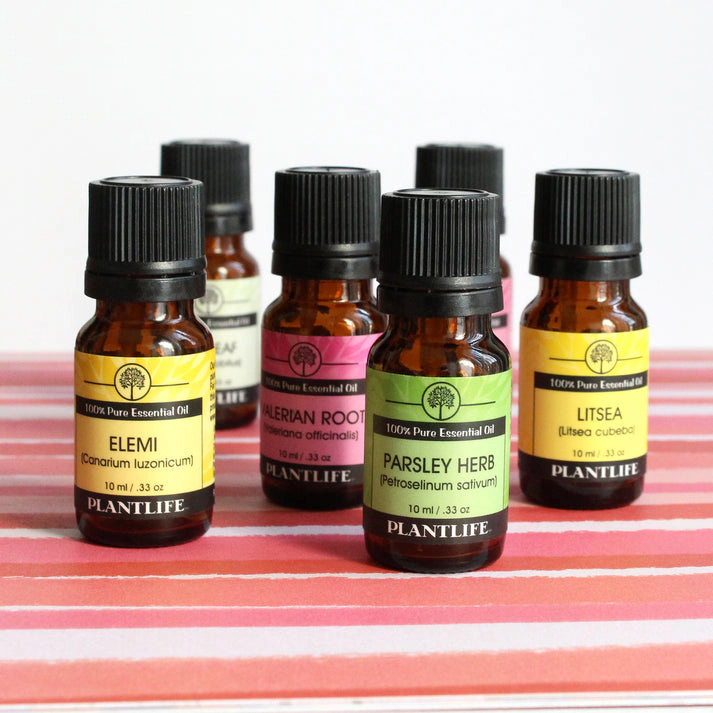 Plantlife Elemi Essential Oil