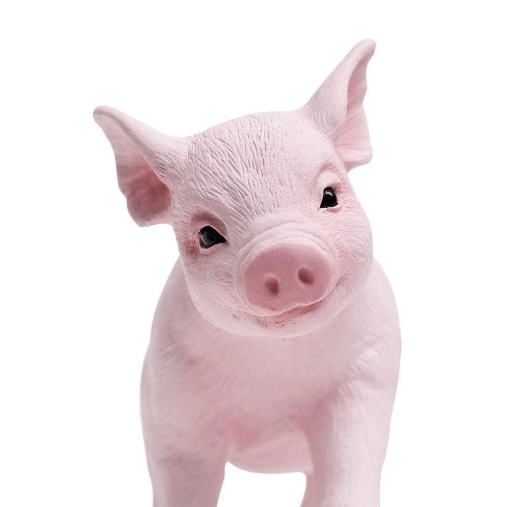 Safari Ltd. - Piglet Kids Toy Figure