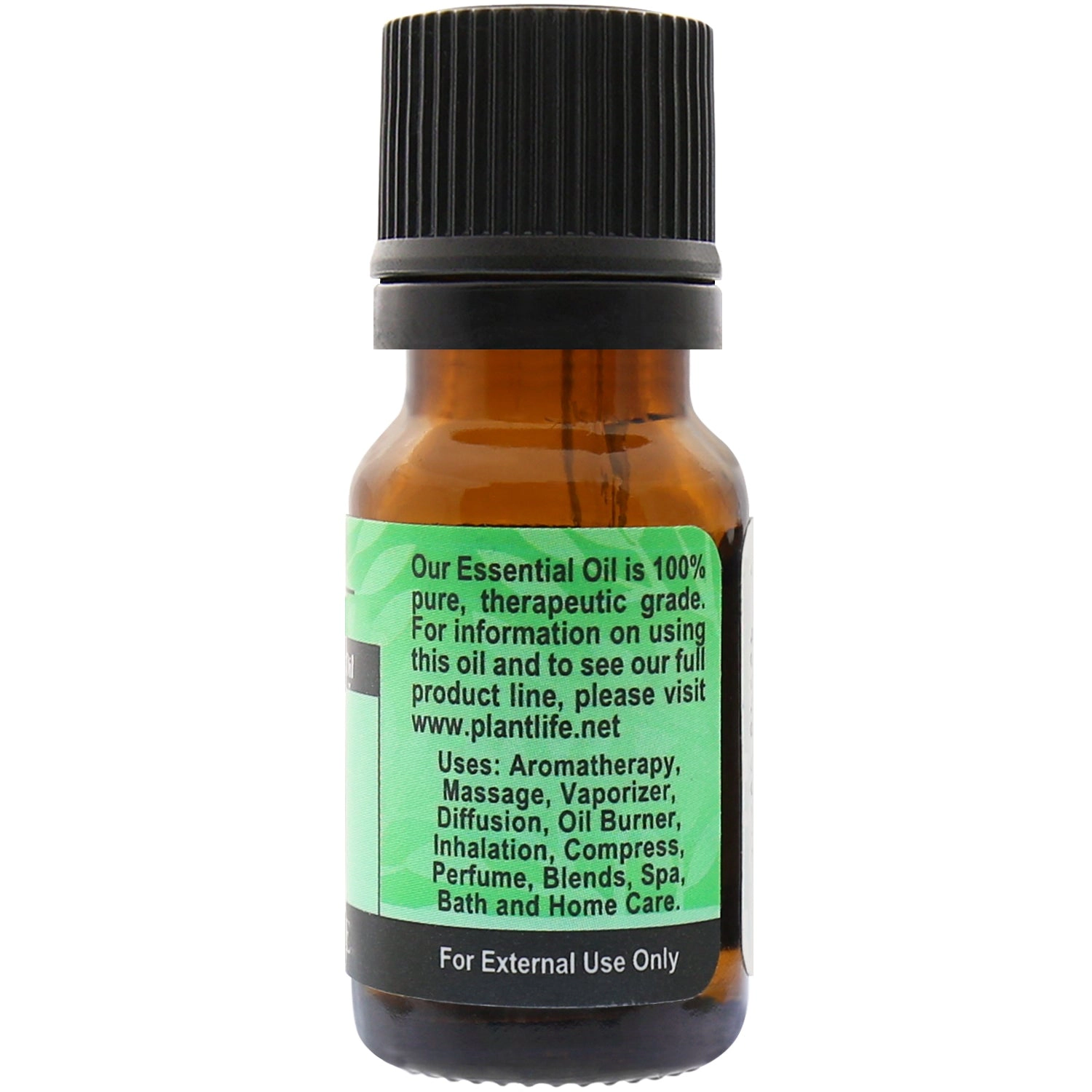 Plantlife Pine Needle Essential Oil