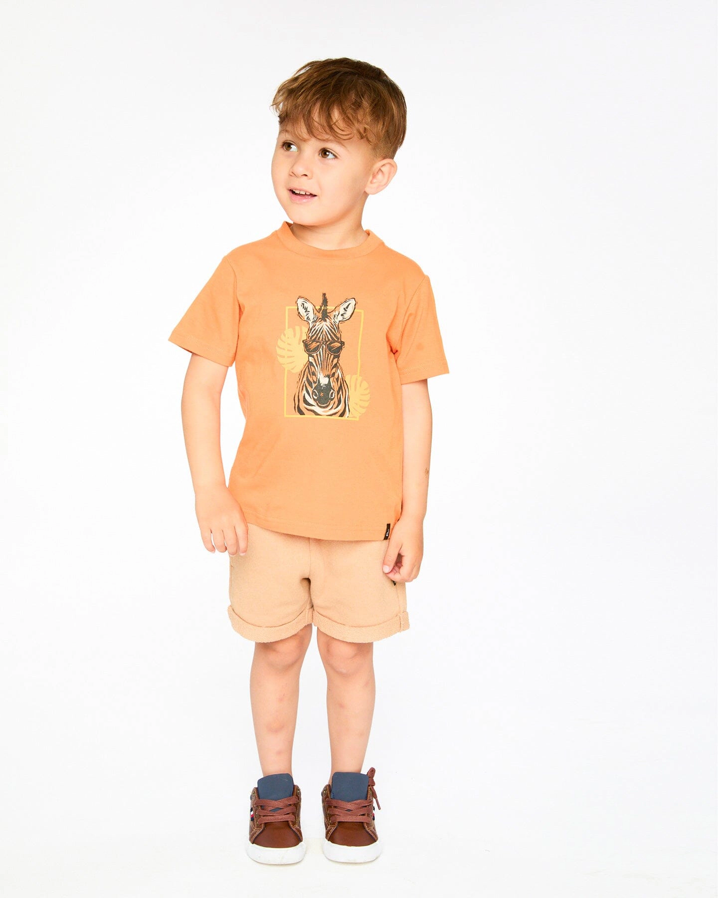 Deux par Deux Boys Organic Cotton Zebra Graphic Short Sleeve T-Shirt
