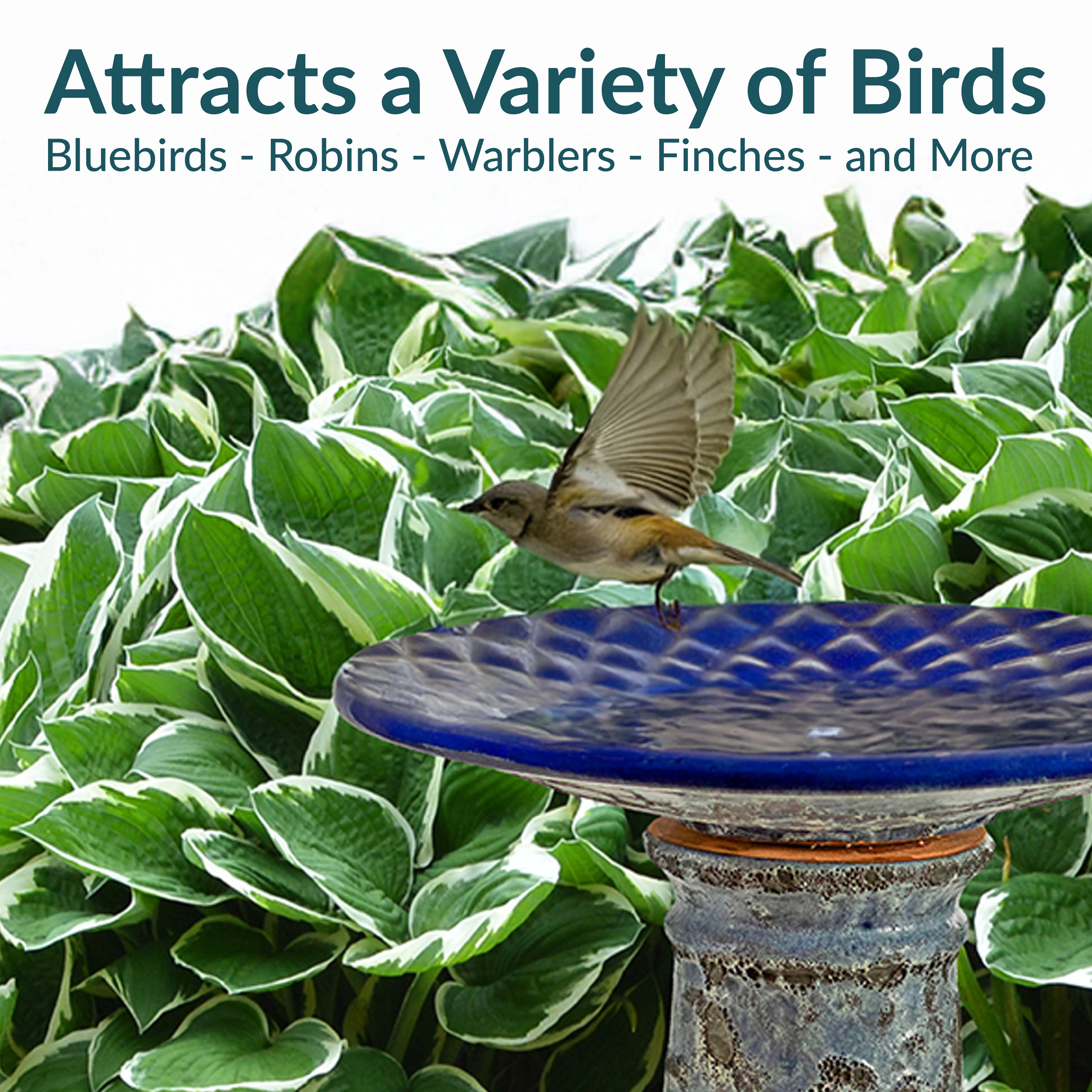 Sunnydaze Outdoor Ceramic Bird Bath, 22.5” H, Glazed Bowl, Blue Lava Finish