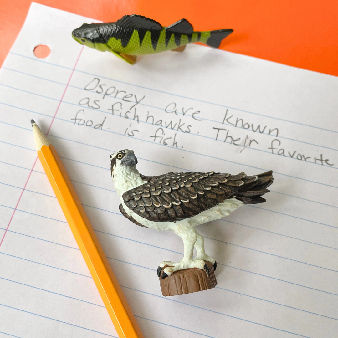 Safari Ltd. - Osprey Kids Toy Figure
