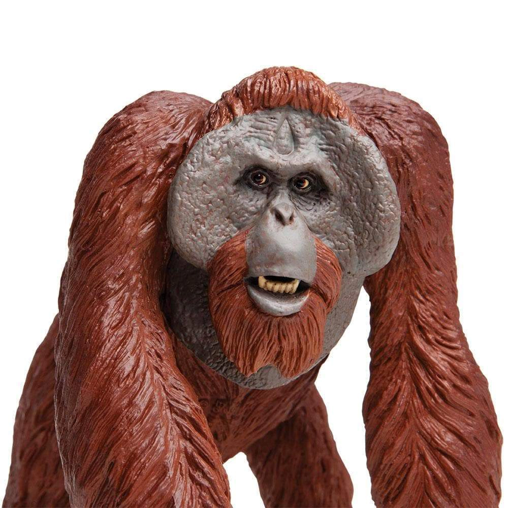 Safari Ltd. - Bornean Orangutan Kids Toy Figure