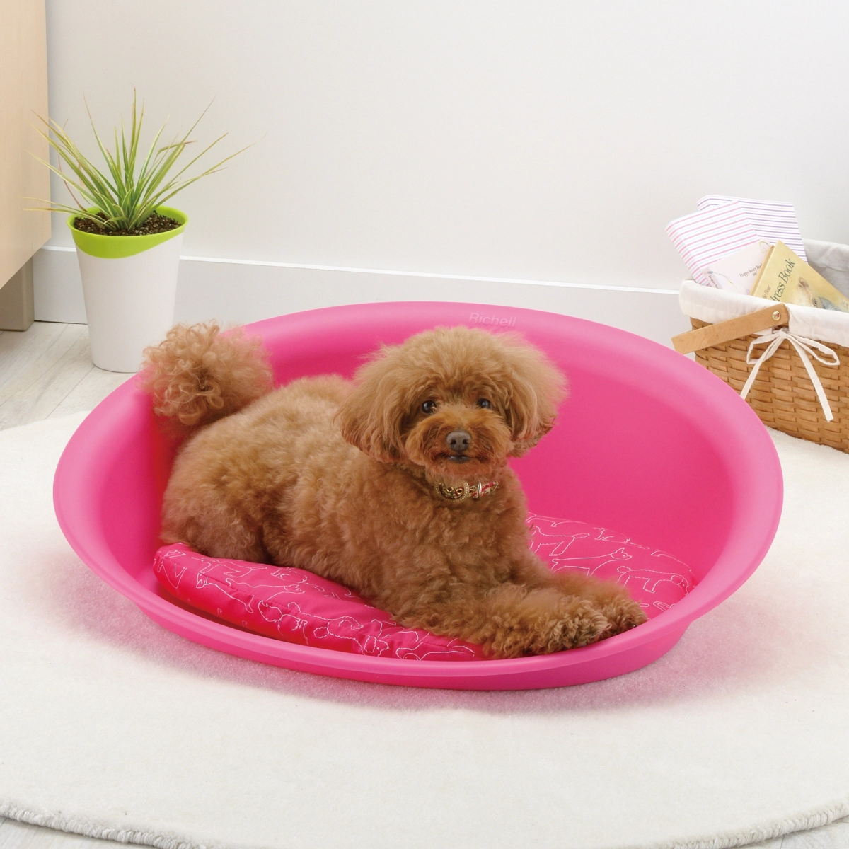 Richell Oval Pet Bed Medium - Pink