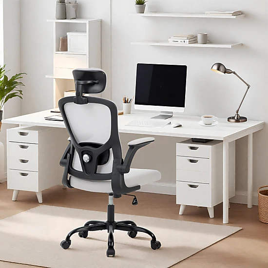 BebreezChic Adjustable Ergonomic Mesh Office Chair with Headrest Lumbar ...