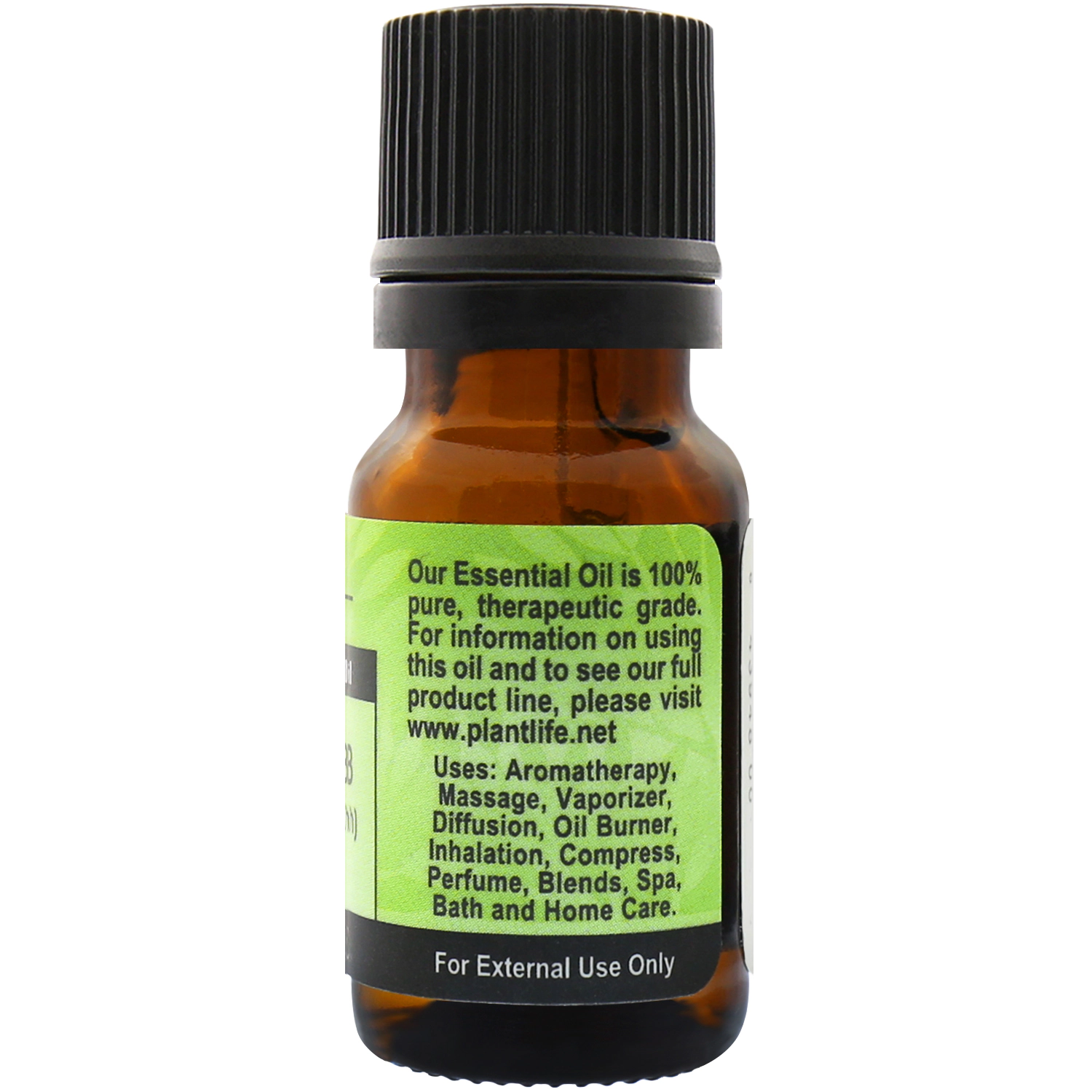 Plantlife Parsley Herb Essential Oil