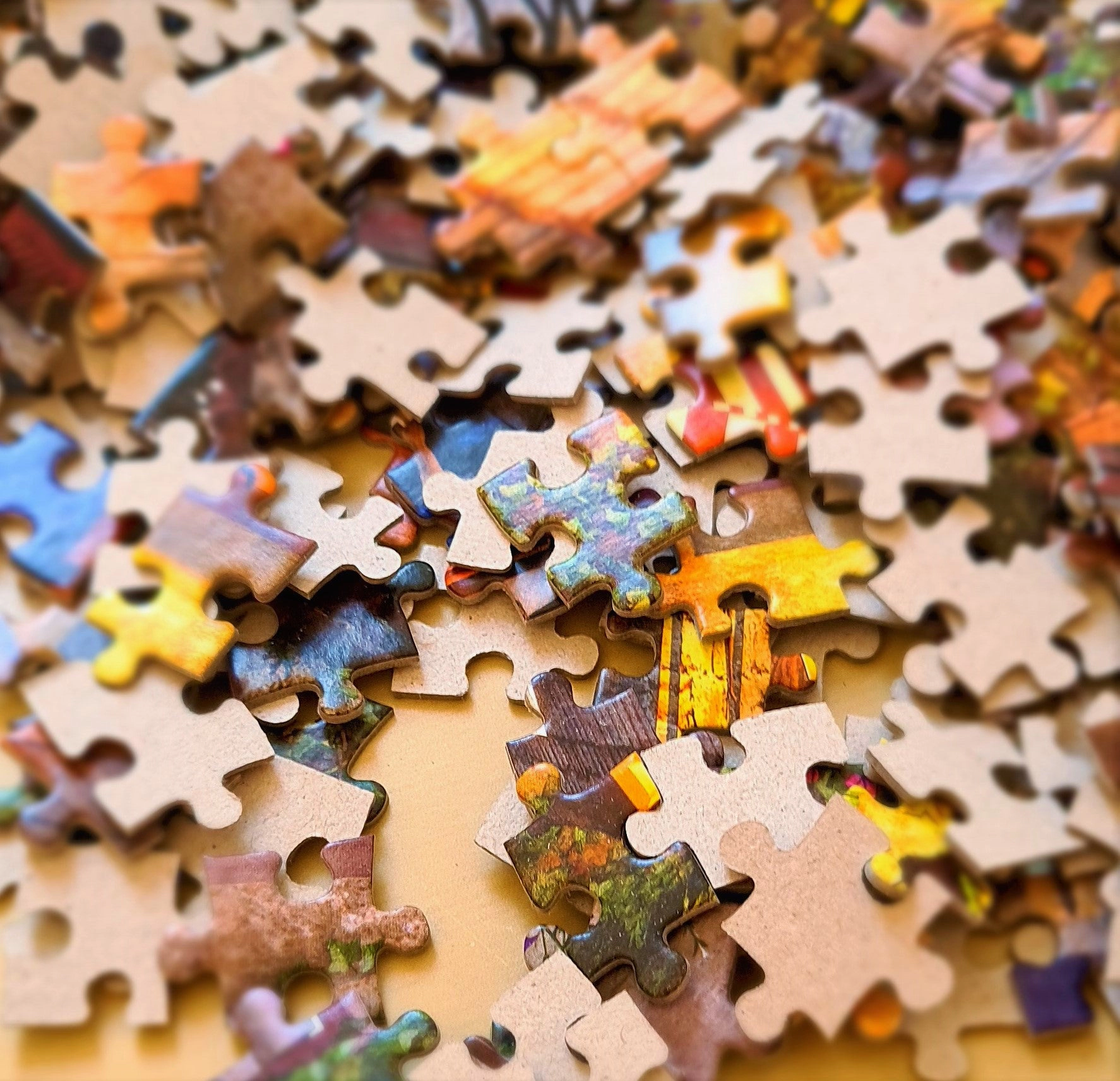 CASTORLAND 1000 Piece Jigsaw Puzzles, Sunrise on Sakrisøy, Lofoten, Norway, Majestic Arctic sunset, C-105366-2