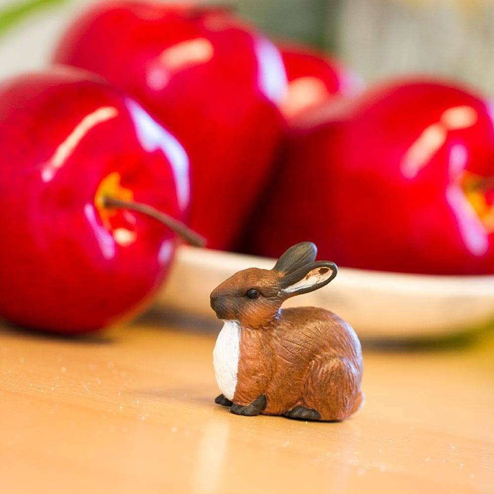 Safari Ltd. - Rabbit Kids Toy Figure