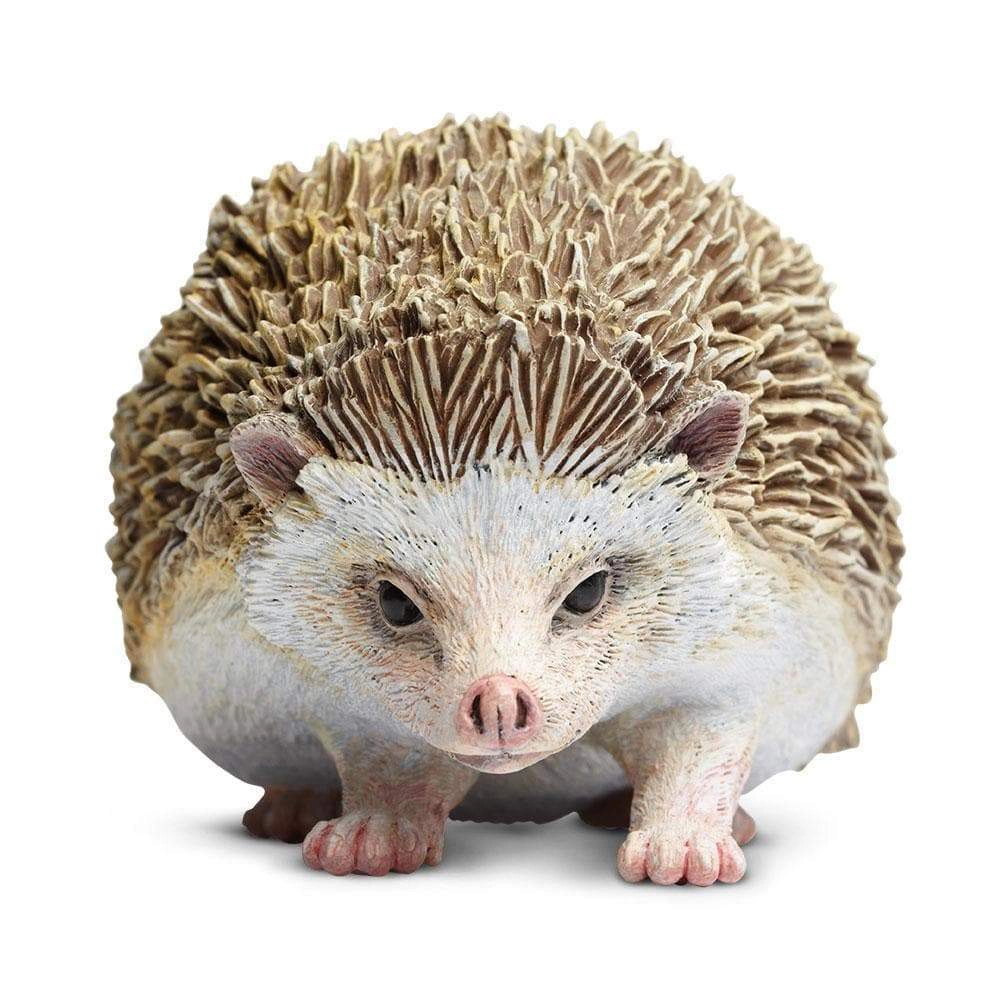 Safari Ltd. - Hedgehog Kids Toy Figure