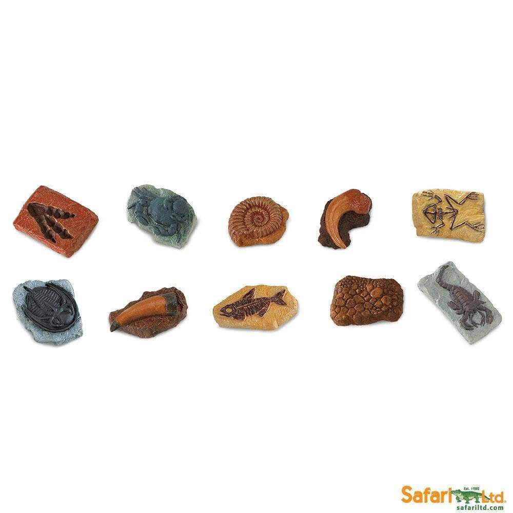 Safari Ltd. - Ancient Fossils TOOB - contains 10 Mini Figurines