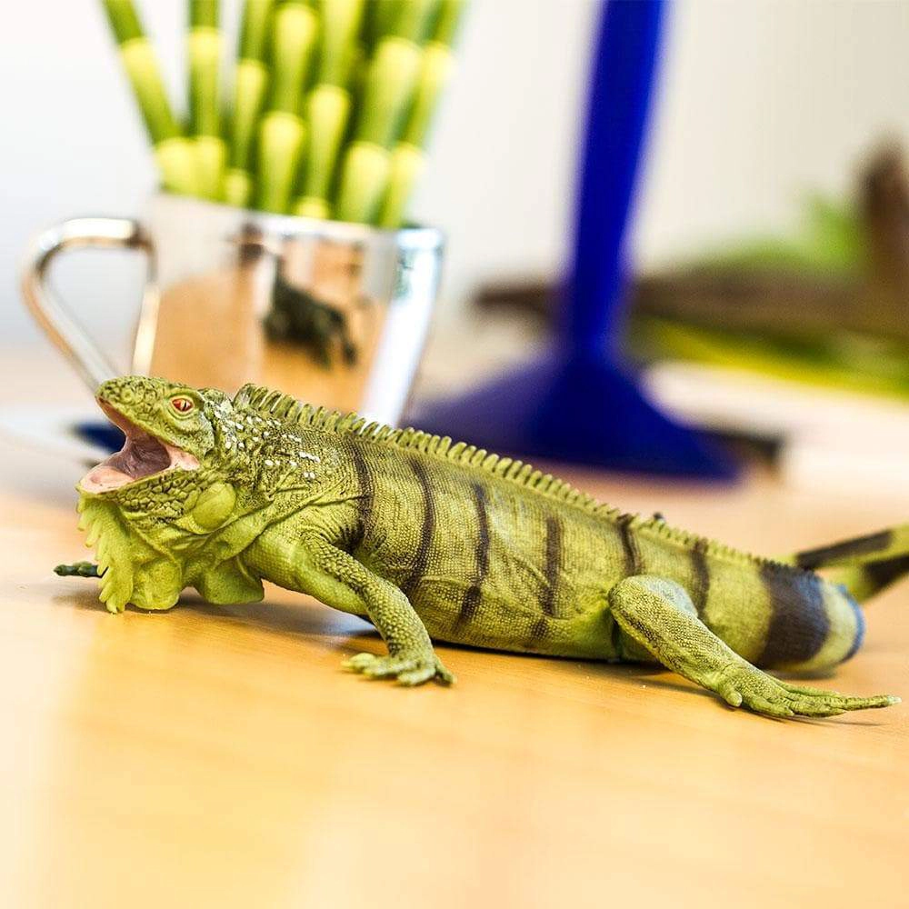 Safari Ltd. - Iguana Kids Toy Figure