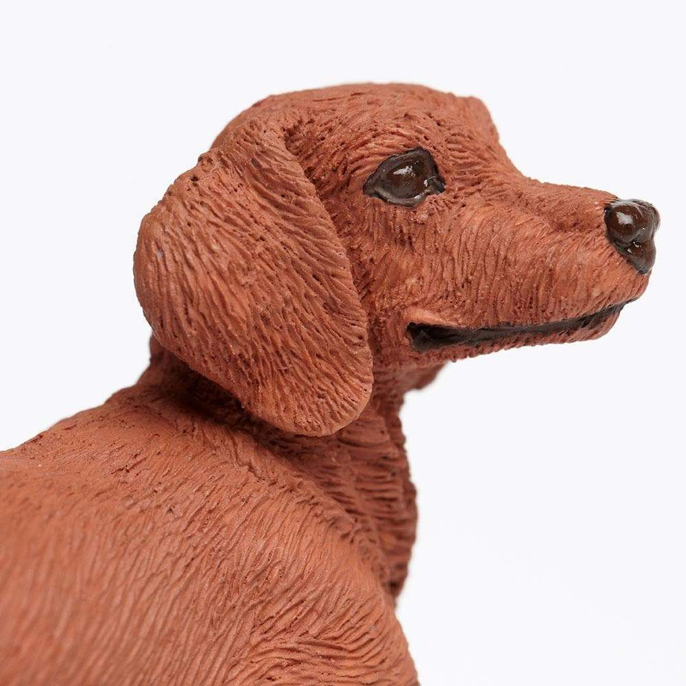 Safari Ltd. - Dachshund Kids Toy Figure