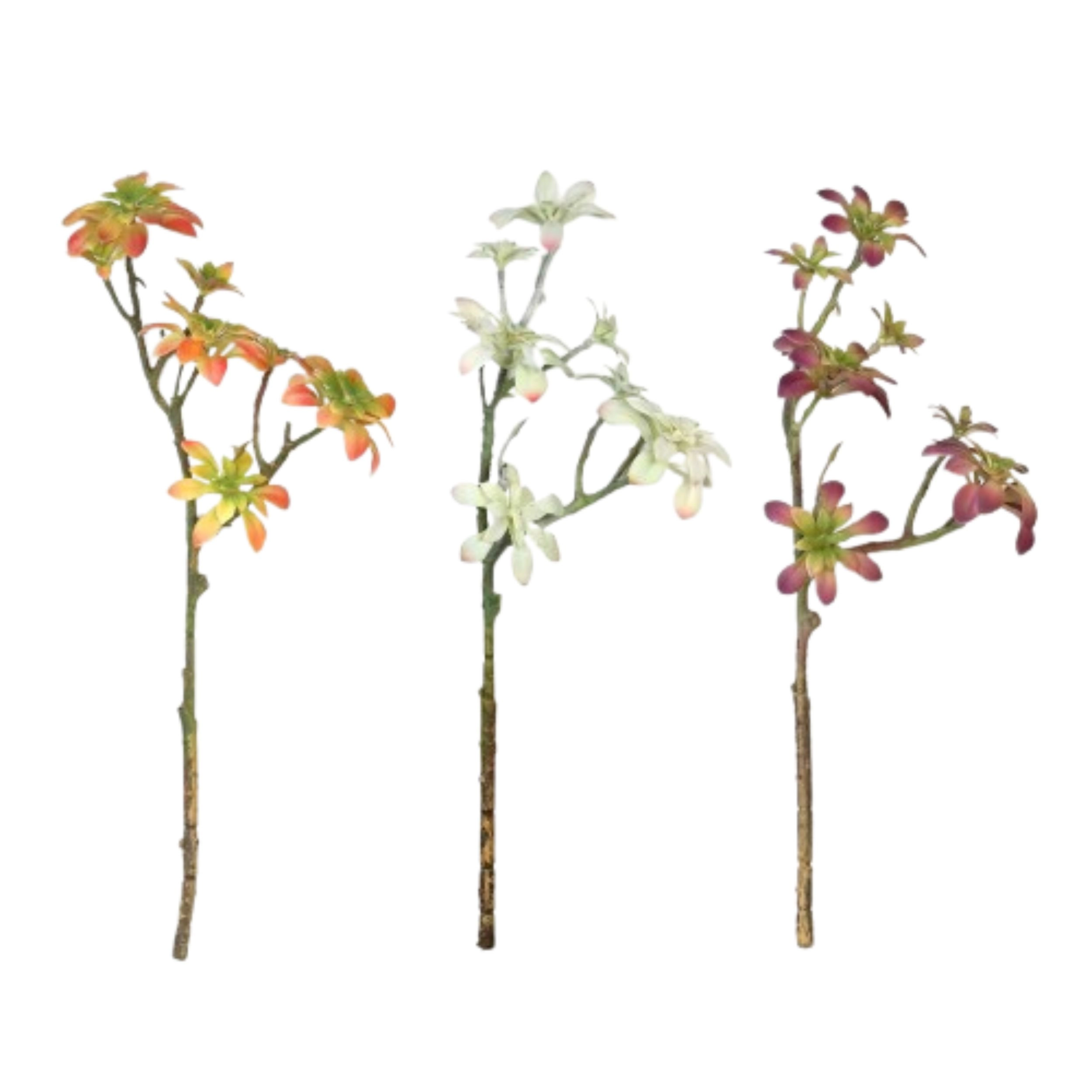 Home Collection Set of 3 18-Inch Artificial Succulent Picks