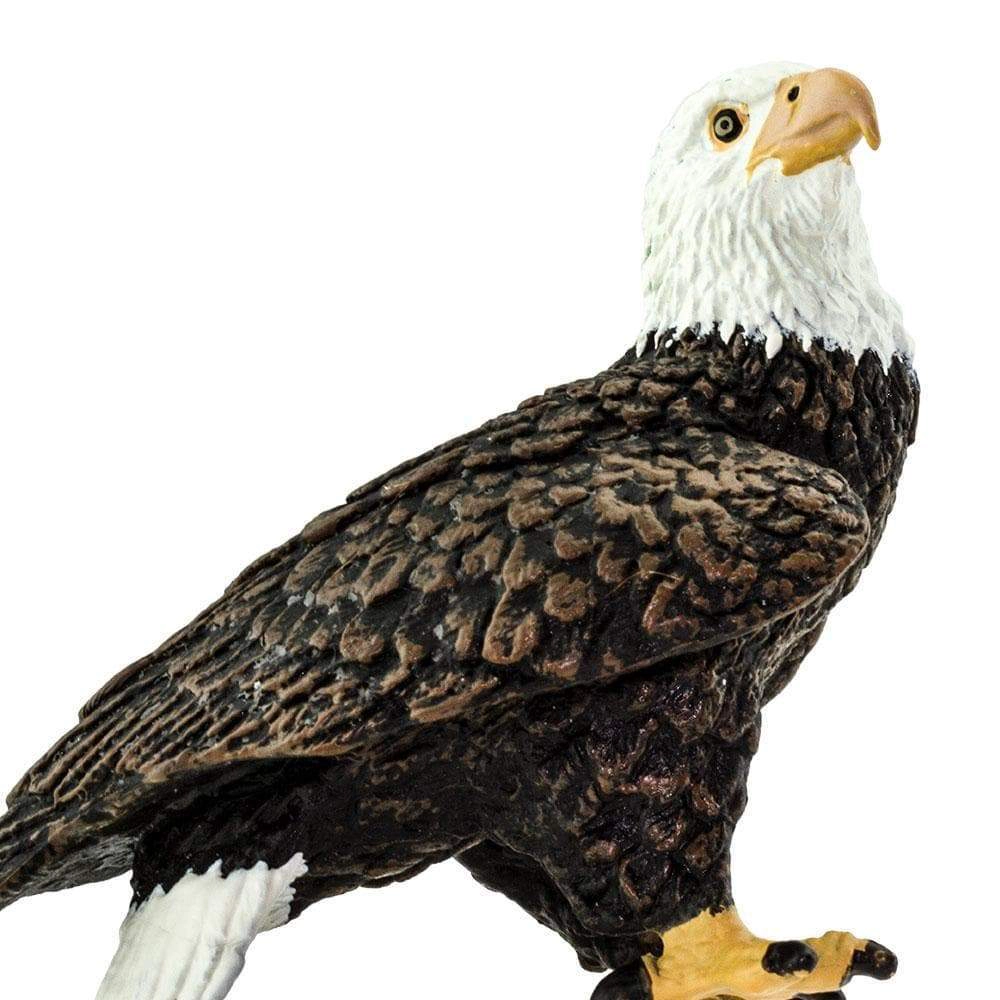 Safari Ltd. - Bald Eagle Kids Toy Figure