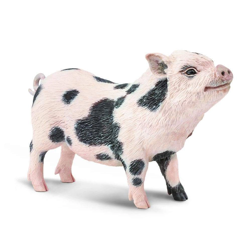 Safari Ltd. - Pot Bellied Pig Kids Toy Figure