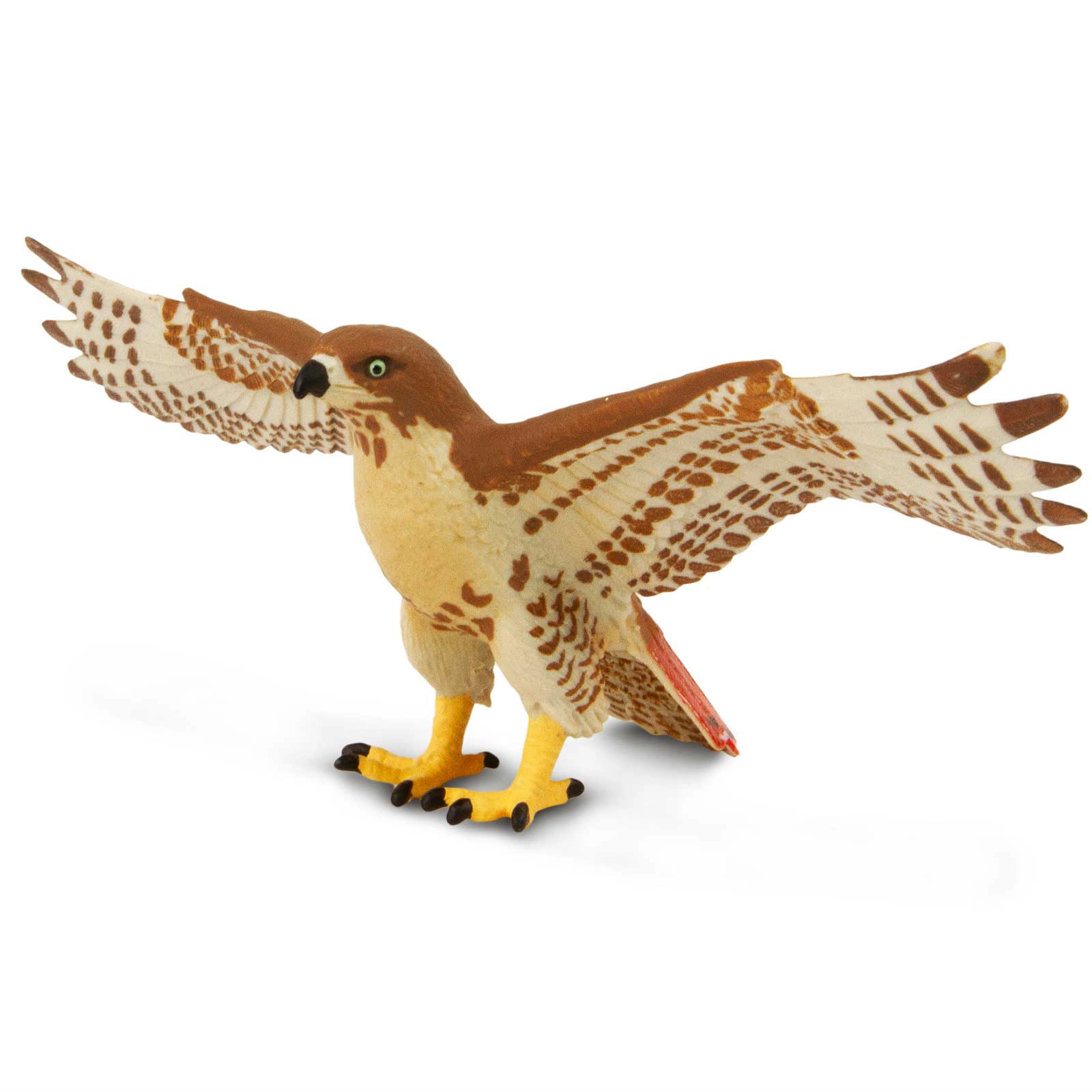 Safari Ltd. - Red-Tailed Hawk Kids Toy Figure
