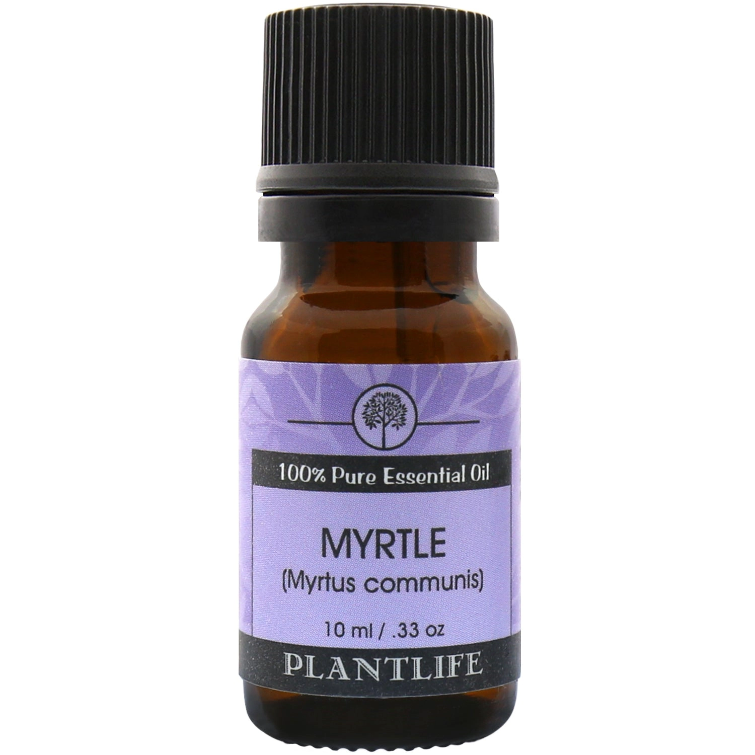Plantlife Myrtle Essential Oil