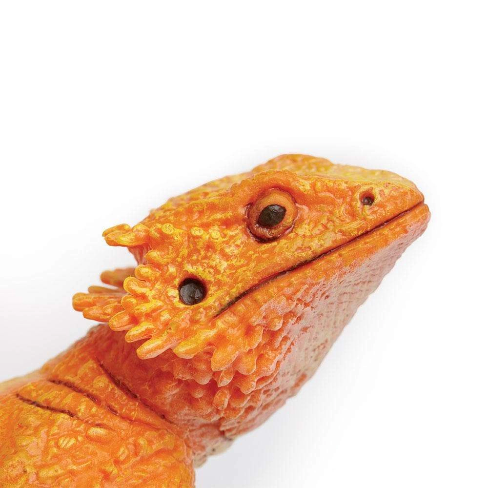 Safari Ltd. - Bearded Dragon Kids Toy Figure
