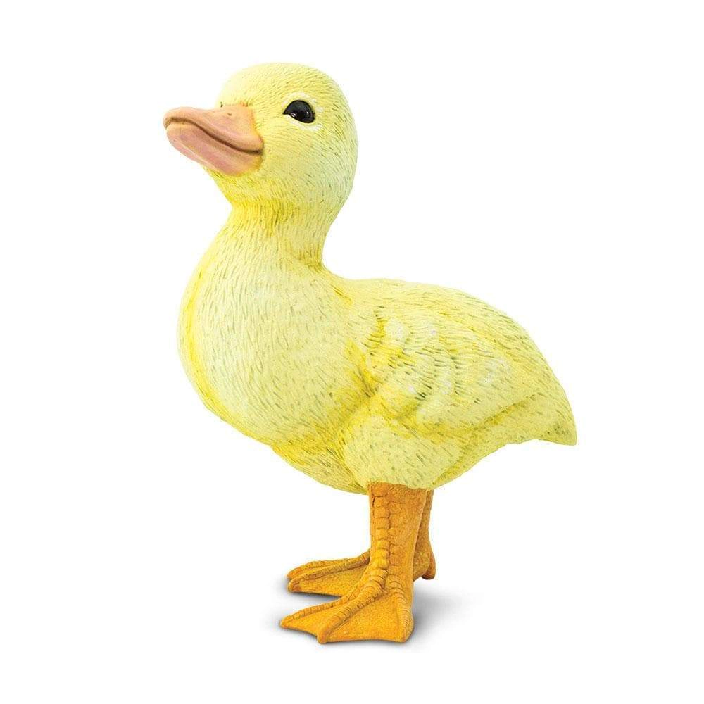 Safari Ltd. - Duckling Kids Toy Figure