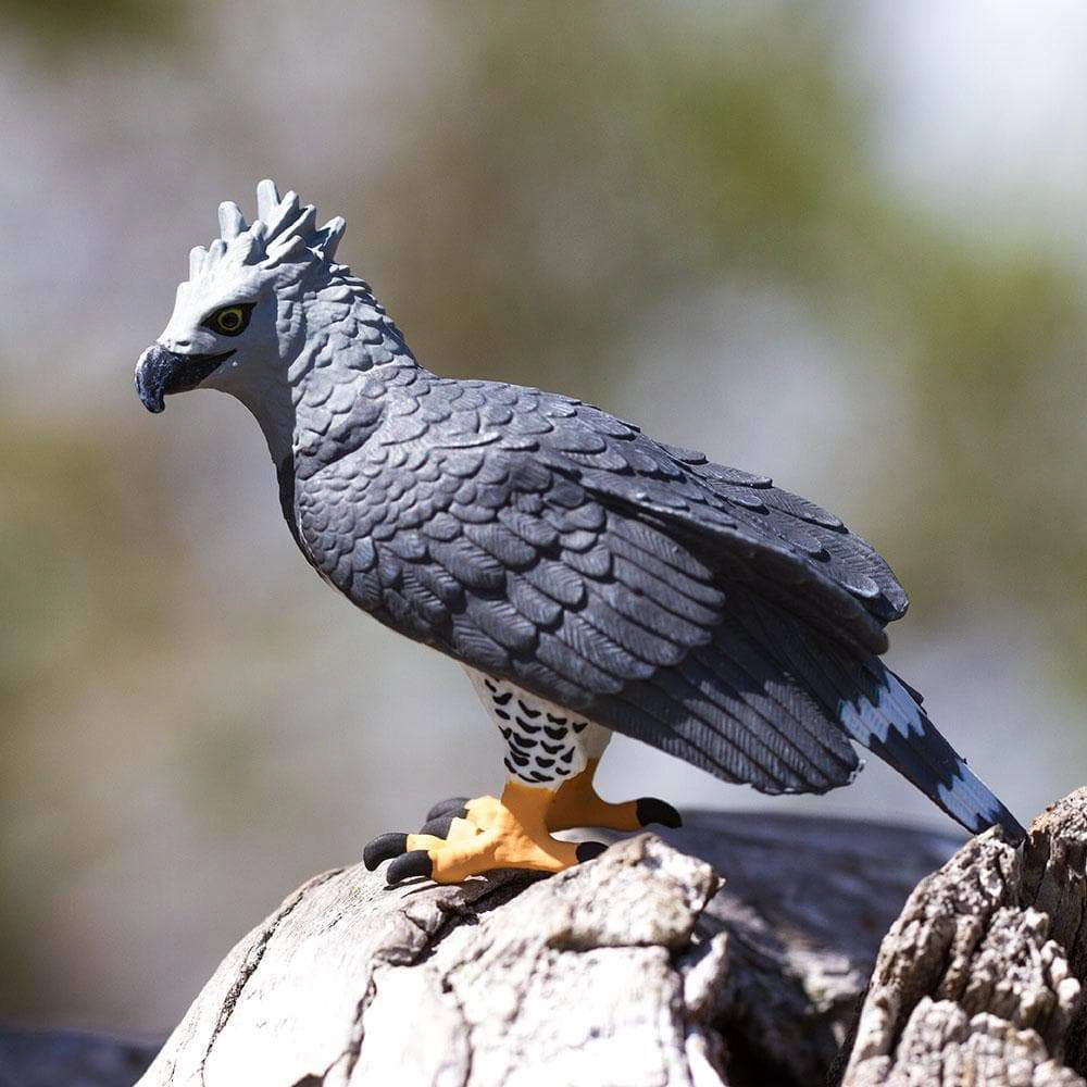 Safari Ltd. - Harpy Eagle Kids Toy Figure