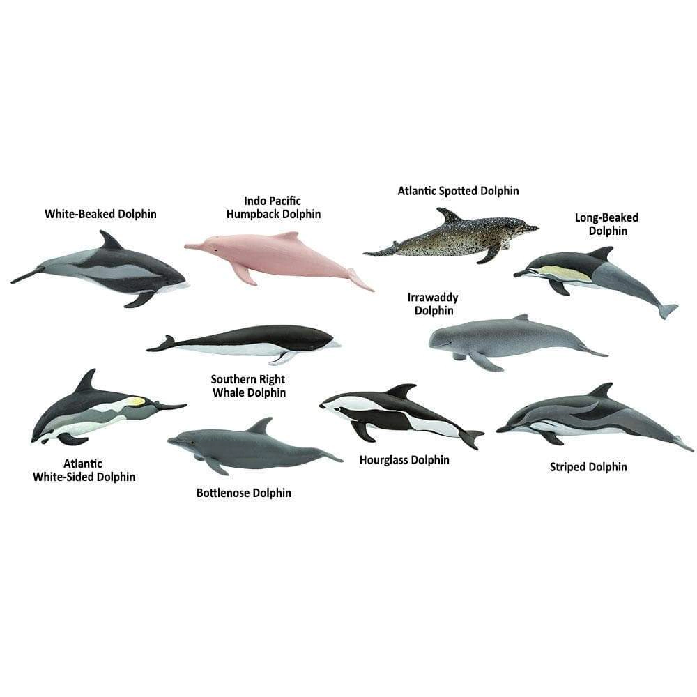 Safari Ltd. - Dolphins TOOB - contains 10 Mini Figurines