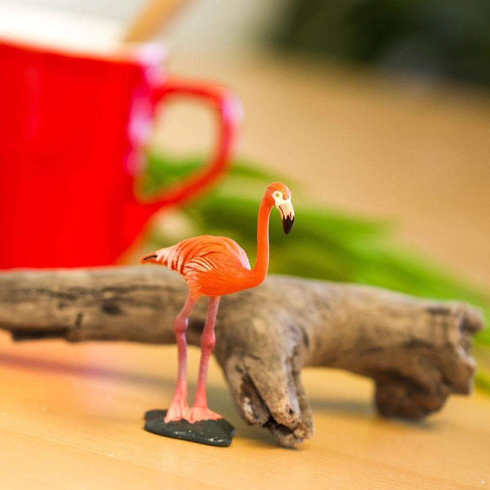 Safari Ltd. - Flamingo Kids Toy Figure