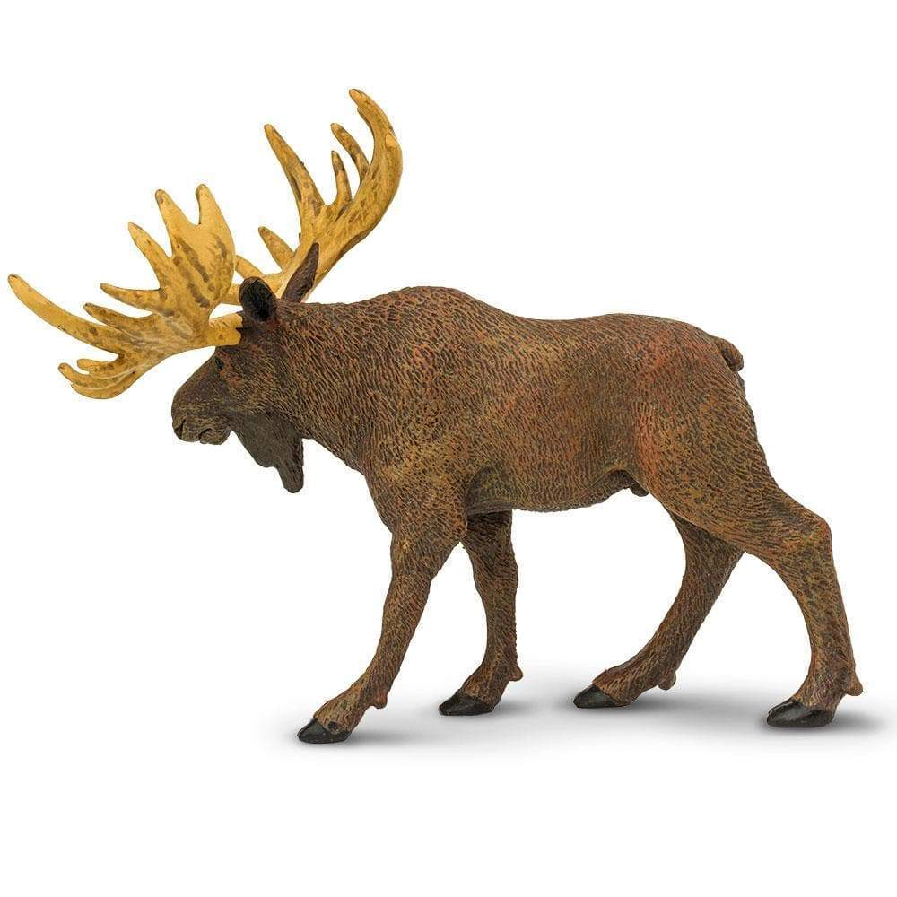 Safari Ltd. - Moose Kids Toy Figure
