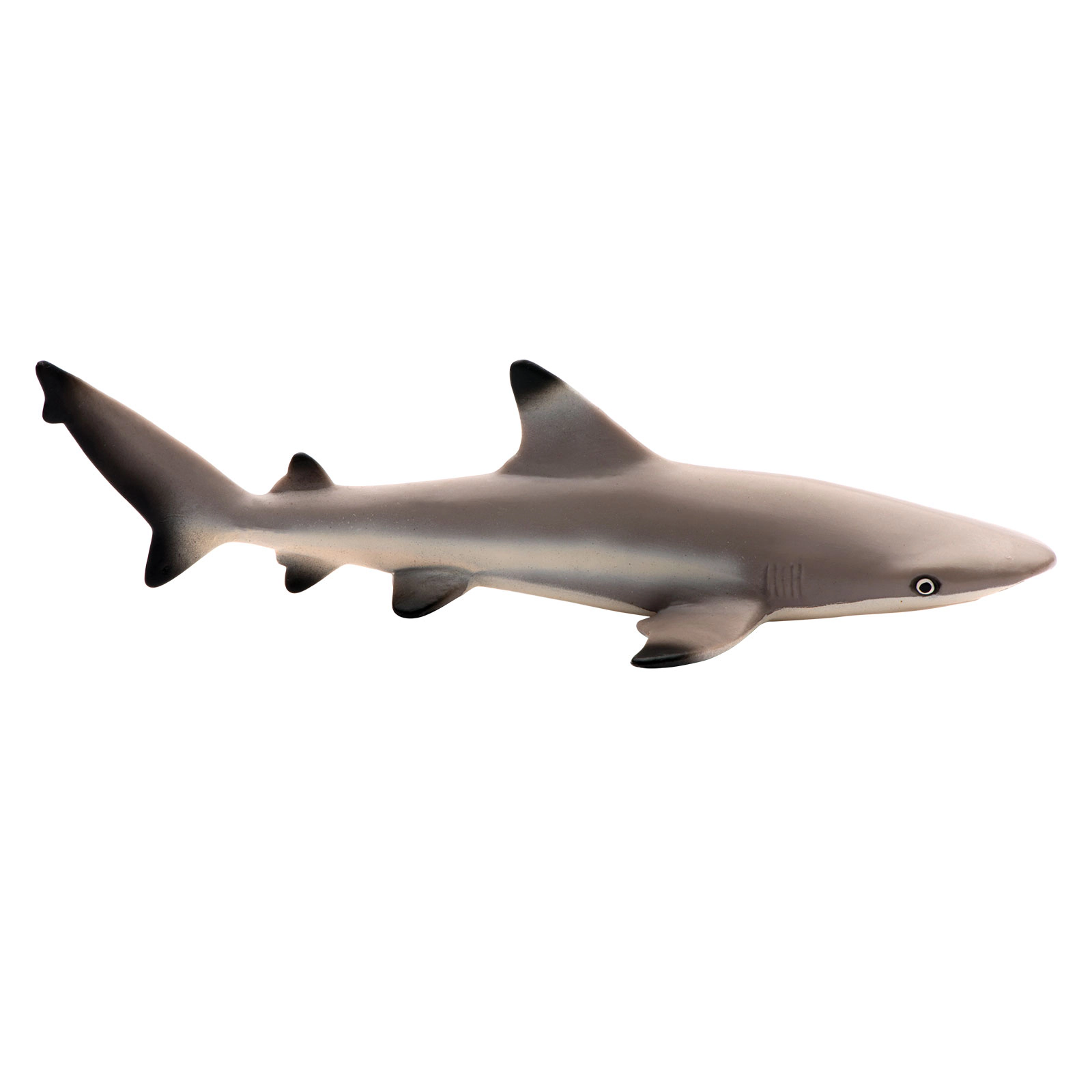 Safari Ltd. - Blacktip Reef Shark Kids Toy Figure