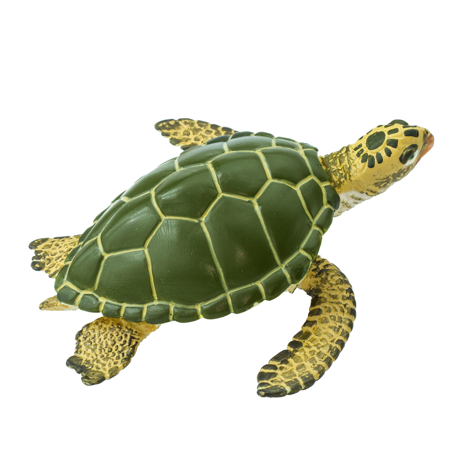 Safari Ltd. - Green Sea Turtle Kids Toy Figure