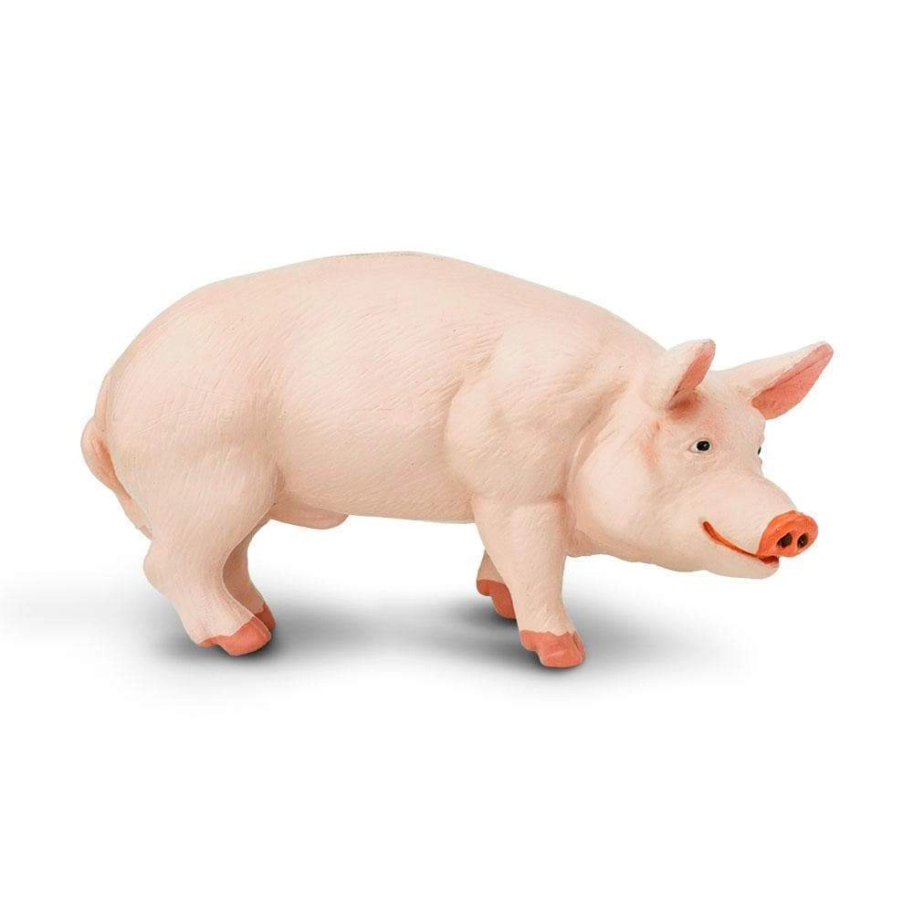 Safari Ltd. - Boar Kids Toy Figure