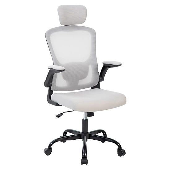 BebreezChic Adjustable Ergonomic Mesh Office Chair with Headrest Lumbar ...