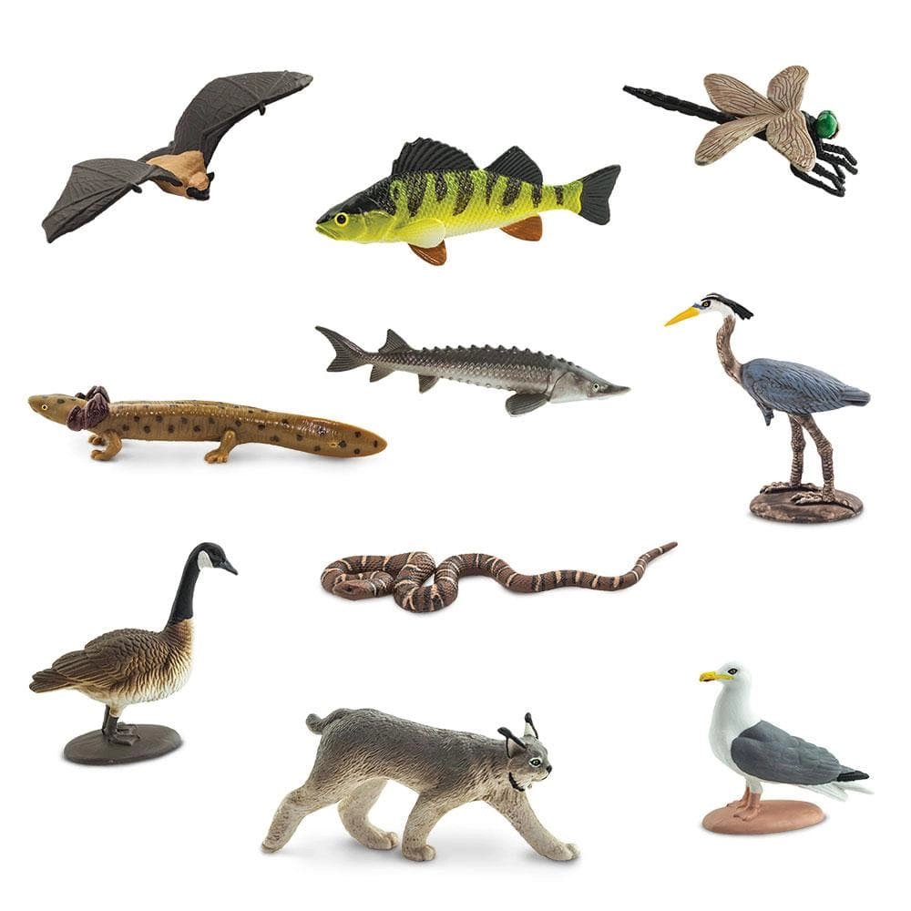 Safari Ltd. - Great Lakes Animals TOOB - contains 10 Mini Figurines