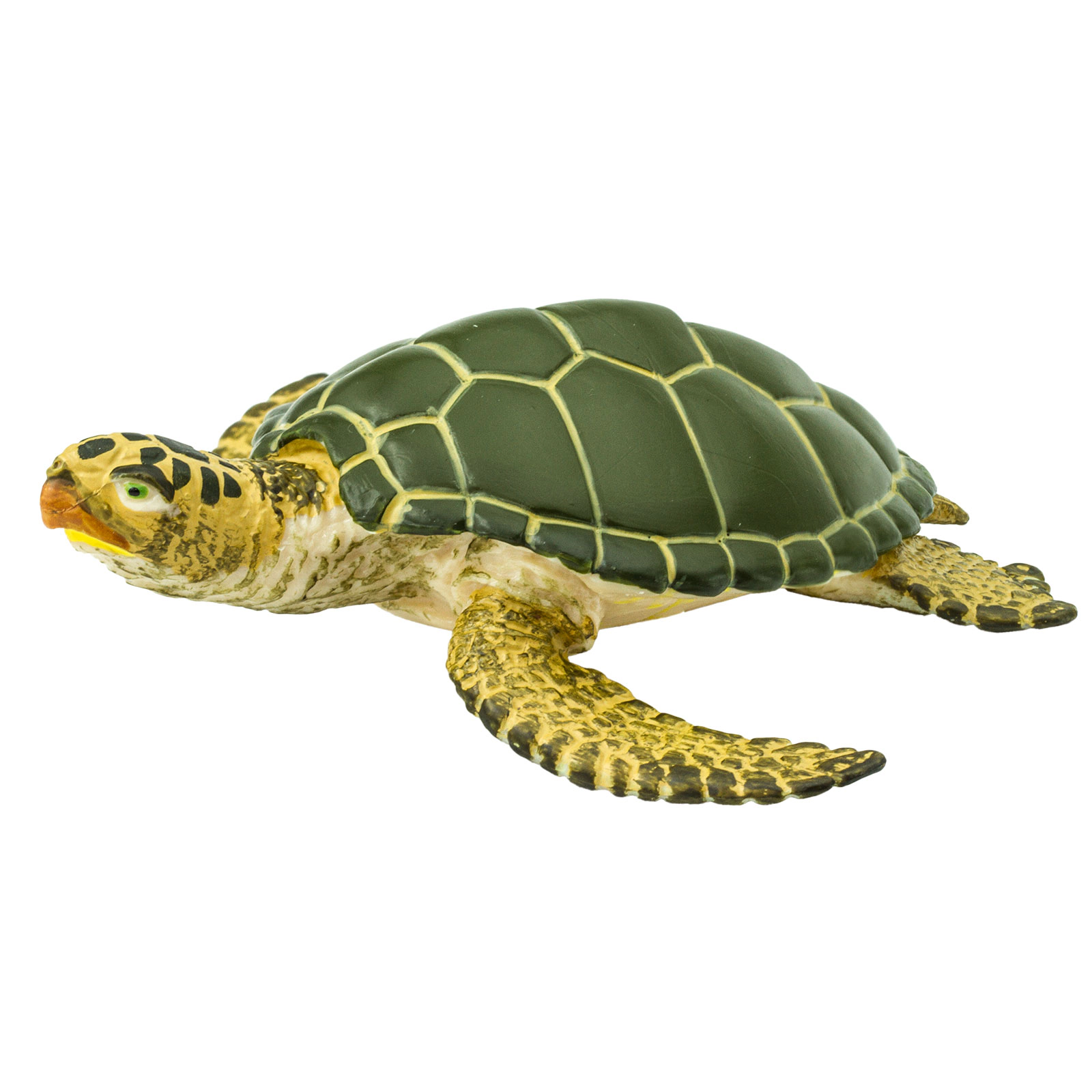 Safari Ltd. - Green Sea Turtle Kids Toy Figure