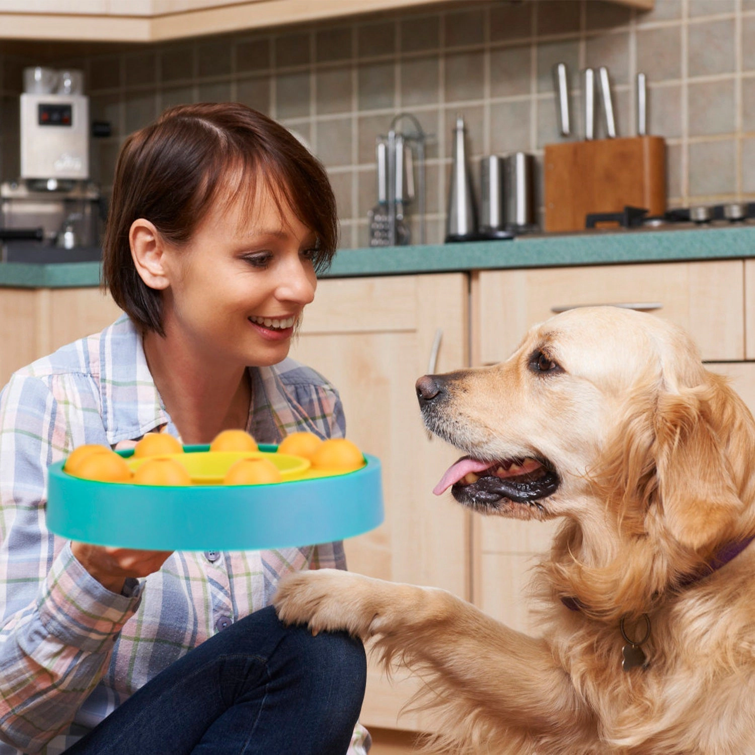 GBruno Interactive Puzzle Dog Food Feeder Slow Bowl