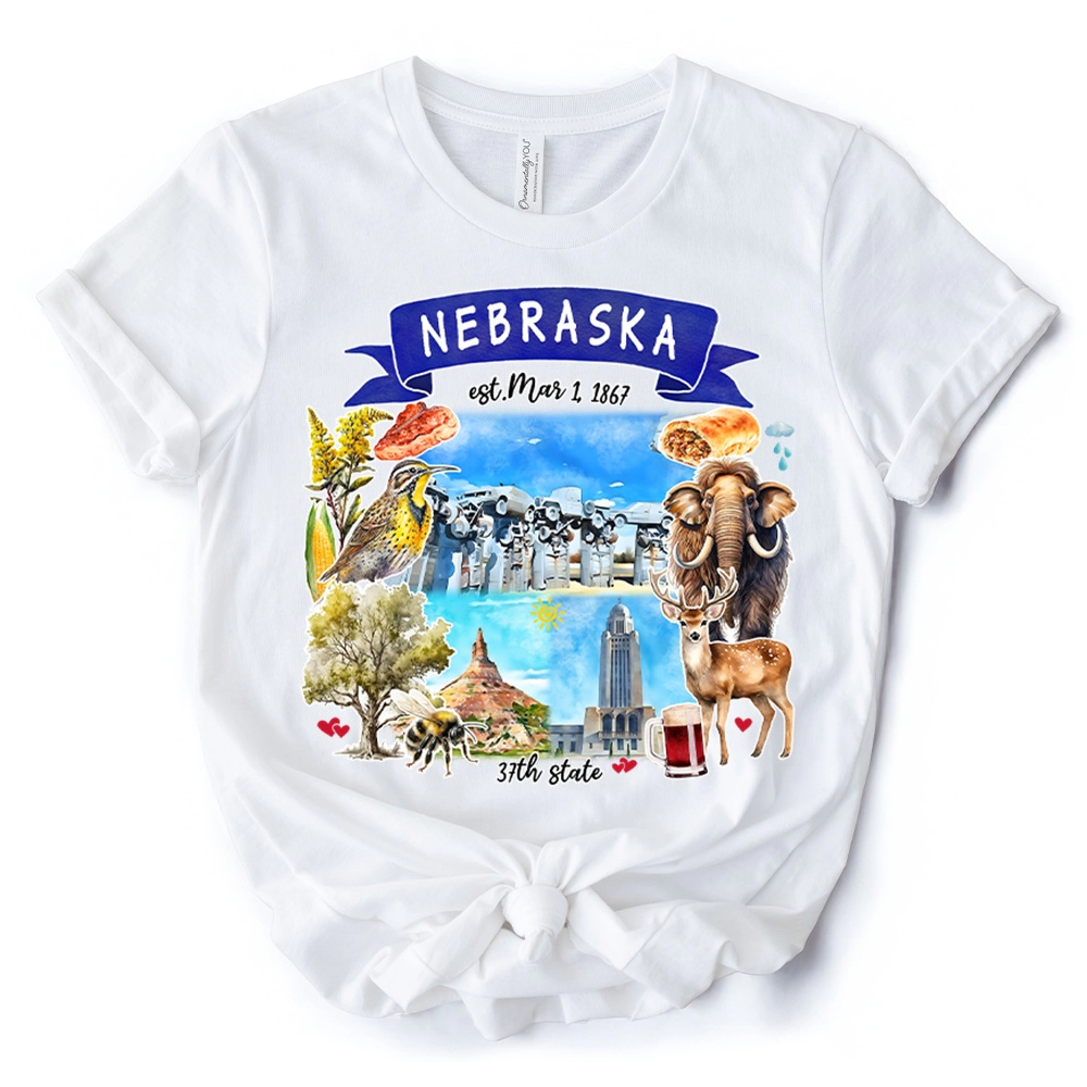 OrnamentallyYou Unisex Artistic Nebraska State Themes And Landmarks T-Shirt