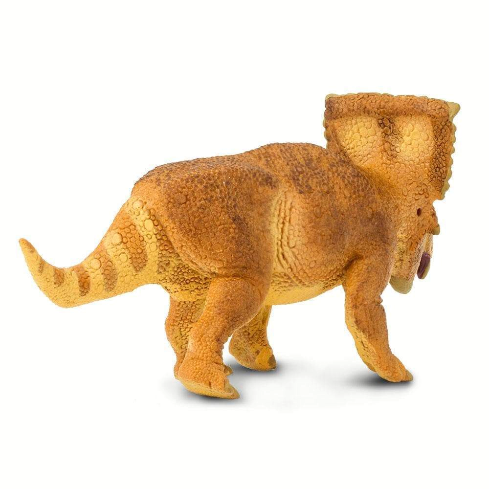 Safari Ltd. - Vagaceratops Kids Prehistoric/Dinosaur Toy Figure