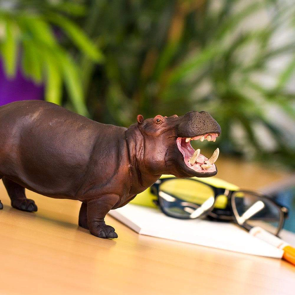 Safari Ltd. - Hippopotamus Kids Toy Figure