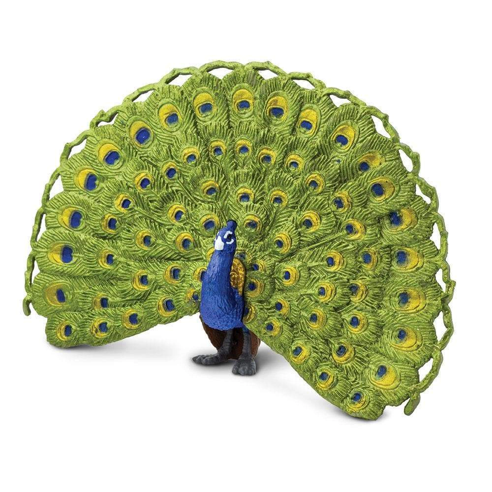 Safari Ltd. - Peacock Kids Toy Figure