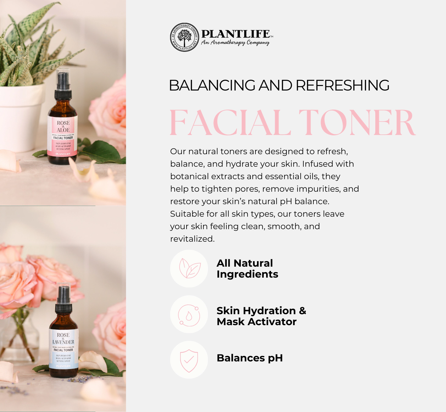 Plantlife Rose & Aloe Facial Toner