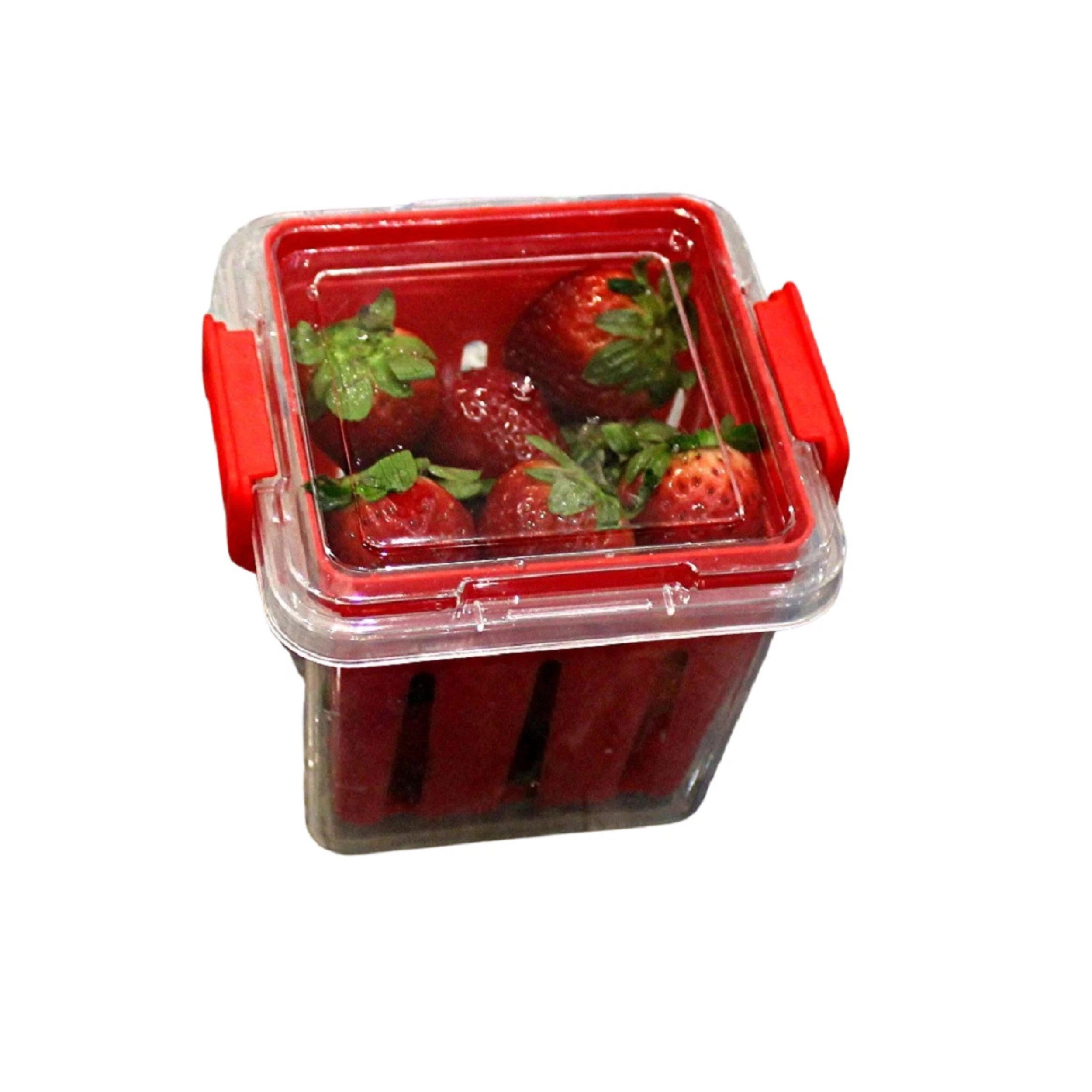 Home Collection Fruit & Vegetable Saver Storage Container with Removable Colander