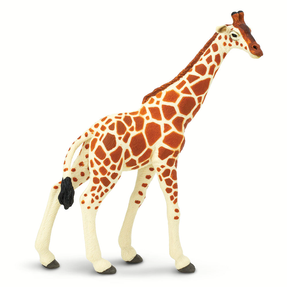 Safari Ltd. - Reticulated Giraffe Kids Toy Figure