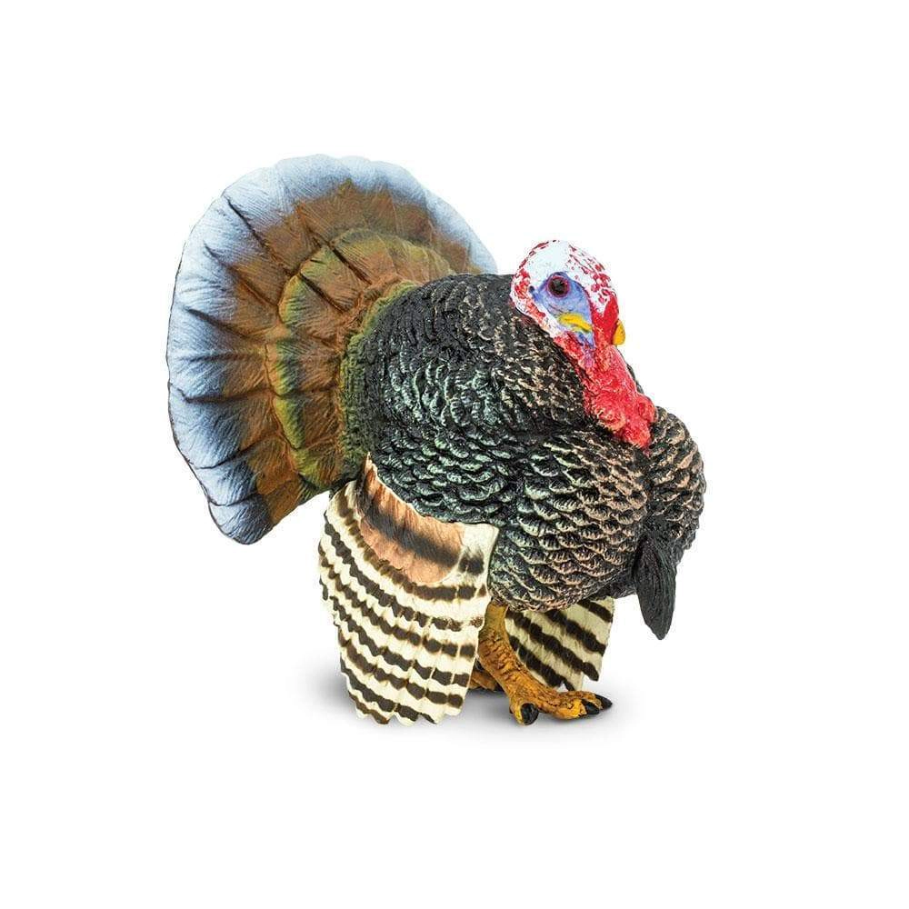 Safari Ltd. - Turkey Kids Toy Figure
