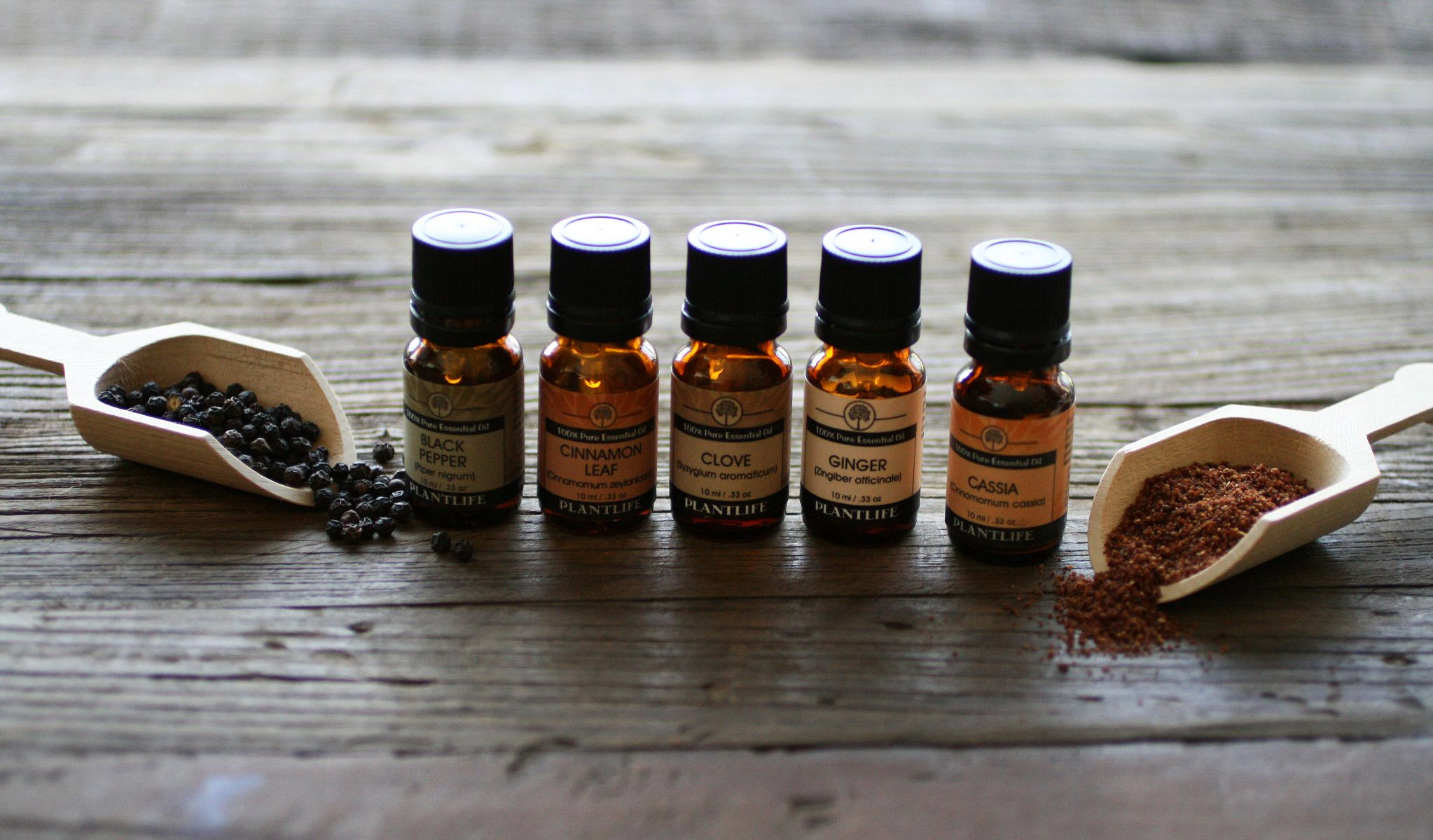 Plantlife Clove Bud Essential Oil