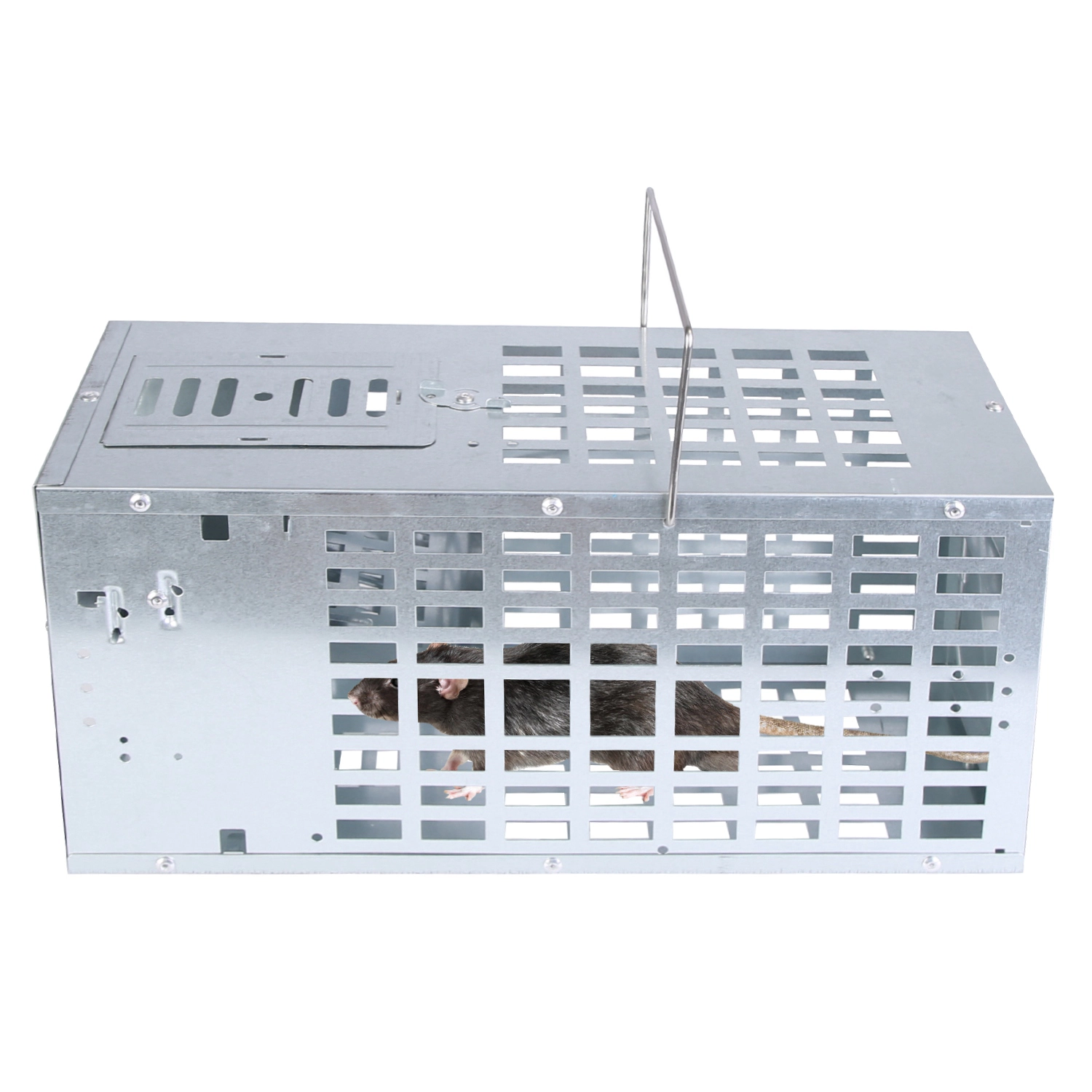 GBruno Humane Reusable Metal Mouse Trap Cage