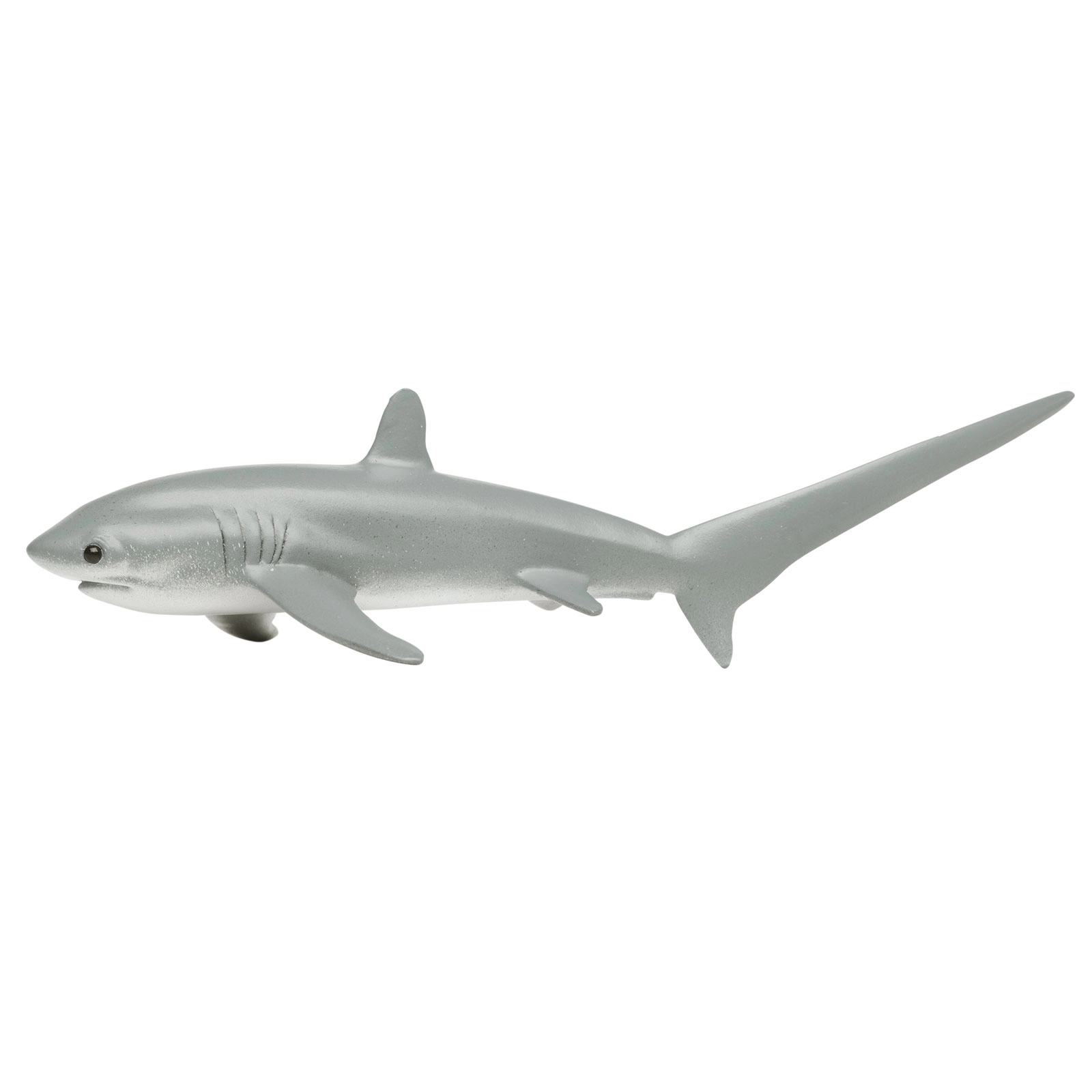 Safari Ltd. - Thresher Shark Kids Toy Figure