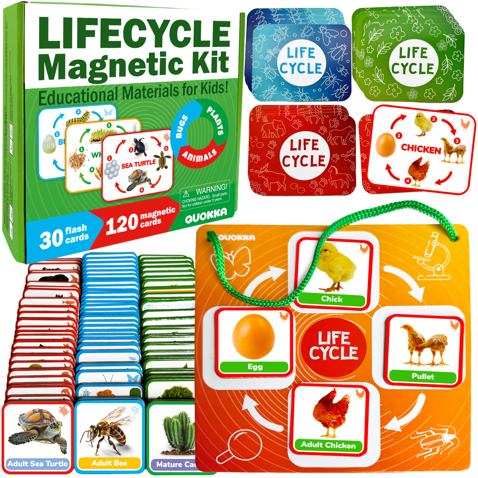 QUOKKA Life Cycle Magnetic Learning Kit, Flash Cards & Science Activities for Preschoolers, Ages 3+