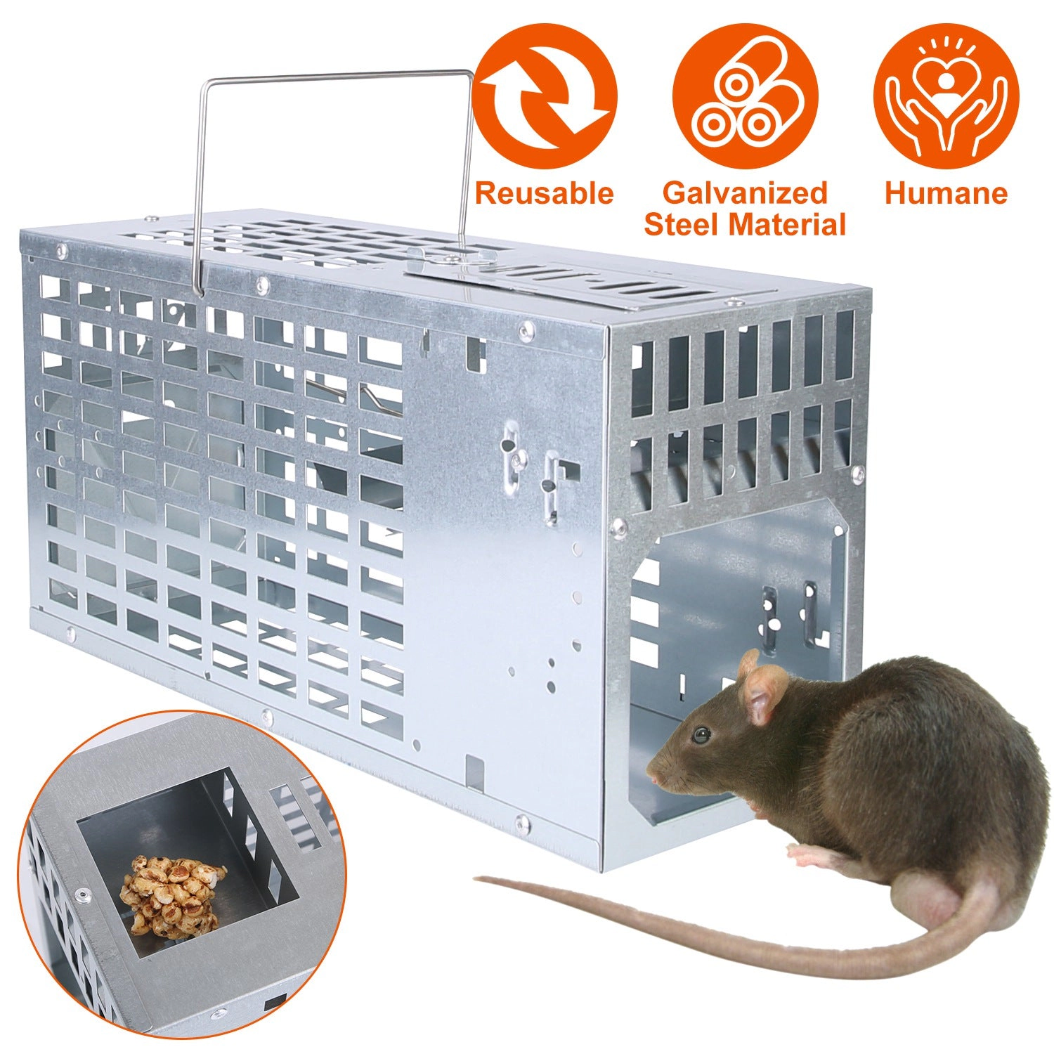 GBruno Humane Reusable Metal Mouse Trap Cage